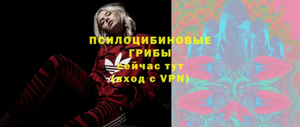 гидропоника Балабаново