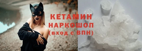 прущие грибы Баксан