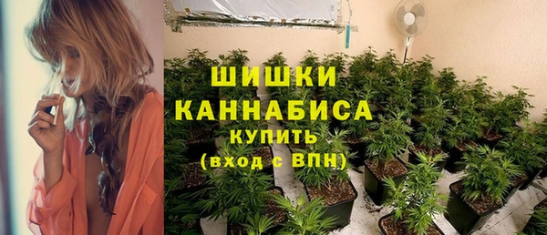 прущие грибы Баксан