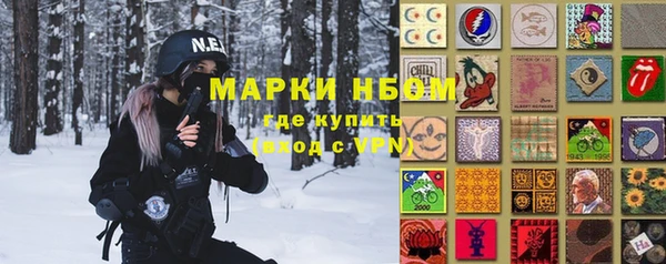 прущие грибы Баксан