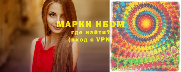 прущие грибы Баксан
