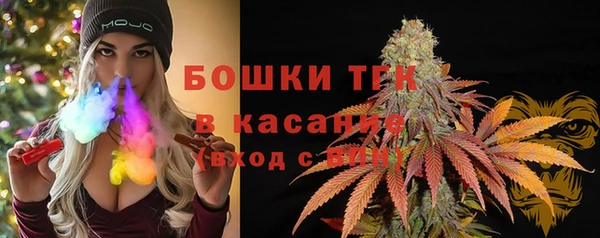 прущие грибы Баксан
