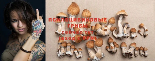 гидропоника Балабаново